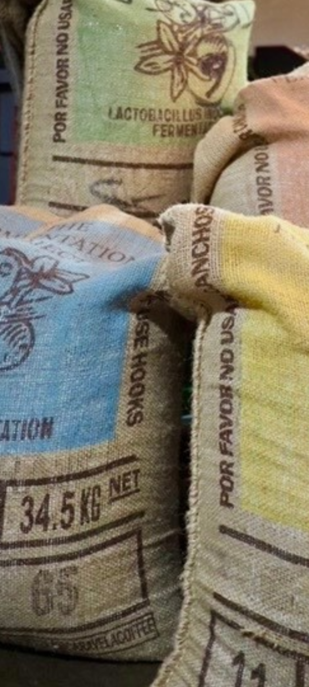 Preorder The Fermentation Project